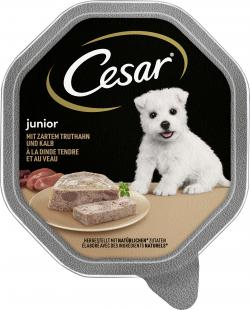 Cesar Junior mit zartem Truthahn und Kalb