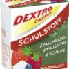 Dextro Energy Schulstoff Waldfrucht