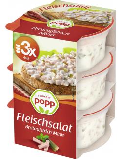 Popp Brotaufstrich Fleischsalat