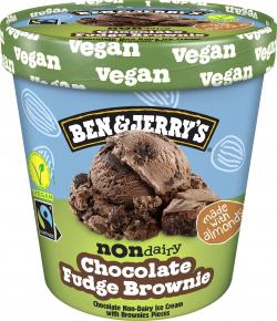 Ben & Jerry's Chocolate Fudge Brownie