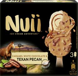 Nuii Eiscreme Caramel White Chocolate & Texan Pecan