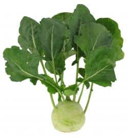 Kohlrabi