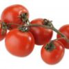Bio Strauchtomaten