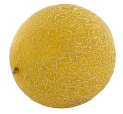 Galia Melone