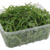 Bio Rucola Salat