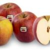 Apfel Wellant