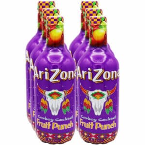 AriZona Fruit Punch (EINWEG)